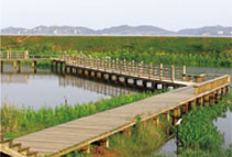 对园林小品设计的思考