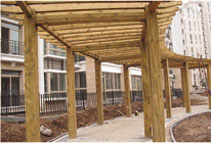 亭子的造型及特点